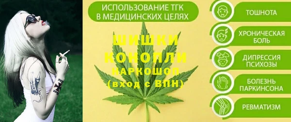 соль ск Богородицк
