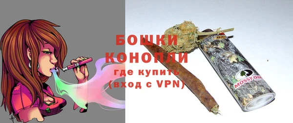 соль ск Богородицк