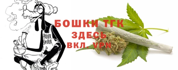 соль ск Богородицк