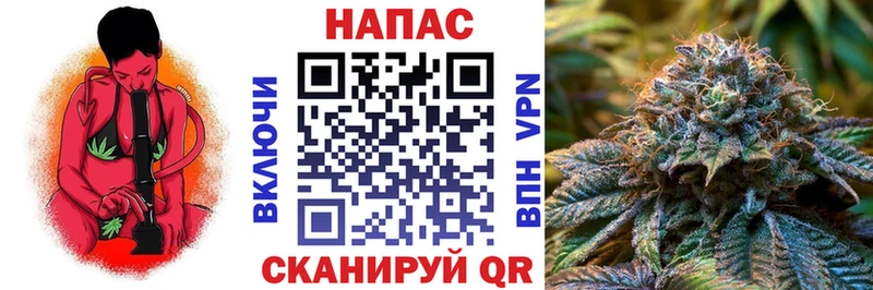 как найти   Великий Новгород  Шишки марихуана сатива 